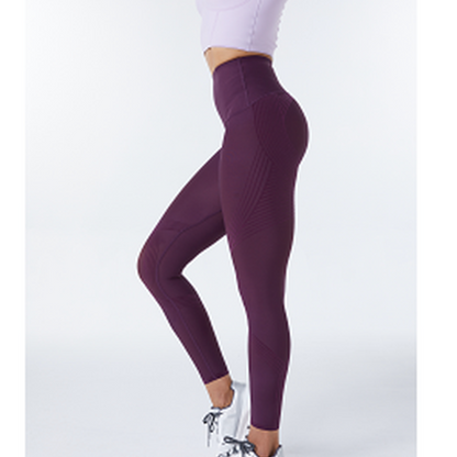 Body Sculpt Leggings (Reversible Wear) (Edition 2)
