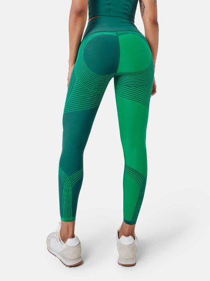 Body Sculpt Leggings (Reversible Wear) (Edition 2)